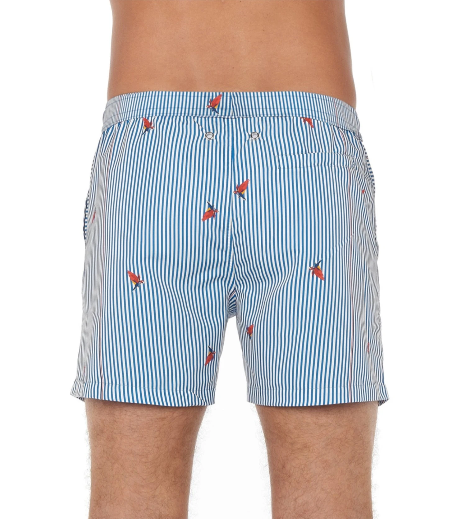 Short De Plage Homme Rayé Roxo Blue/White Stripes 4 Short De Plage Homme Rayé Roxo Blue/White Stripes – Image 4